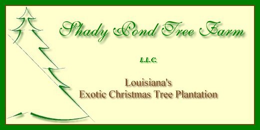Shady Pond Tree Farm's Logo